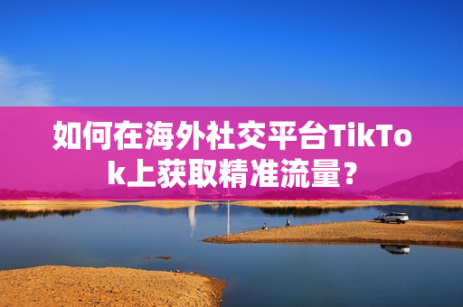 如何在海外社交平台TikTok上获取精准流量？