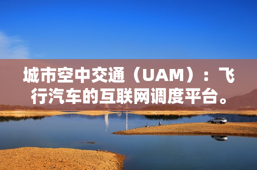城市空中交通（UAM）：飞行汽车的互联网调度平台。