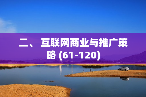 二、 互联网商业与推广策略 (61-120)