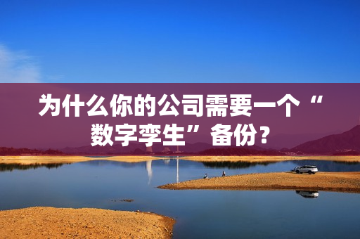 为什么你的公司需要一个“数字孪生”备份？-第1张图片-一只熊网络