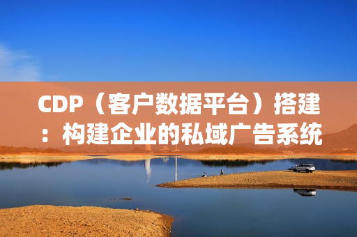 CDP（客户数据平台）搭建：构建企业的私域广告系统。