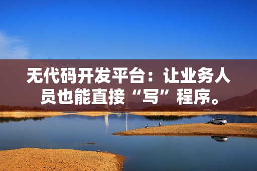 无代码开发平台：让业务人员也能直接“写”程序。-第1张图片