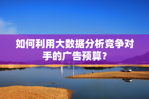 如何利用大数据分析竞争对手的广告预算？