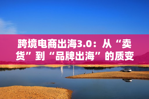 跨境电商出海3.0：从“卖货”到“品牌出海”的质变。
