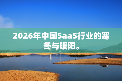2026年中国SaaS行业的寒冬与暖阳。